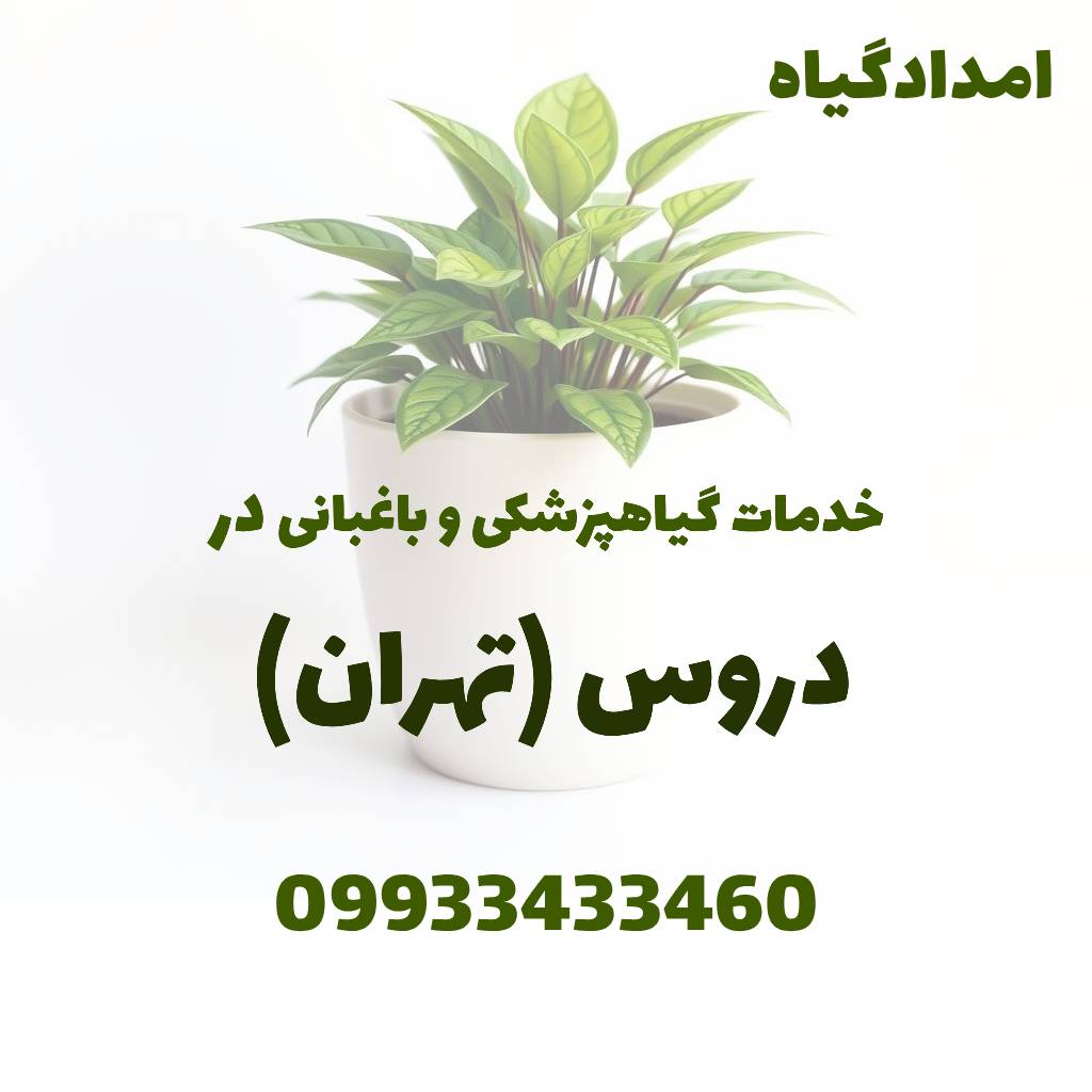 خدمات گیاهپزشکی و باغبانی در دروس تهران