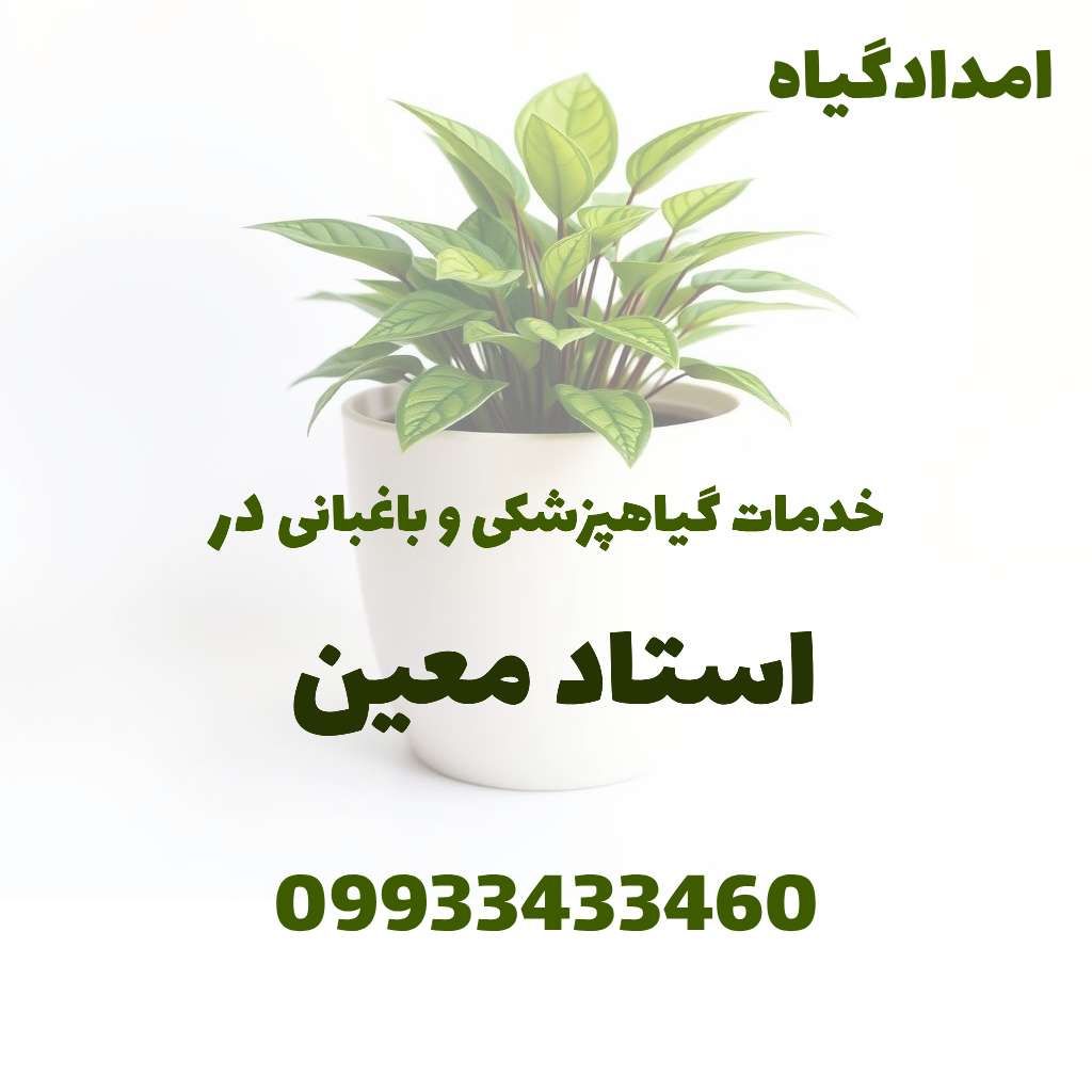 خدمات گیاهپزشکی و باغبانی در استاد معین