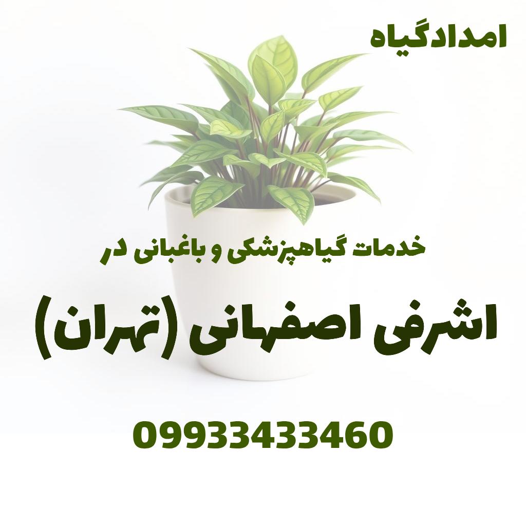 خدمات گیاهپزشکی و باغبانی در اشرفی اصفهانی تهران
