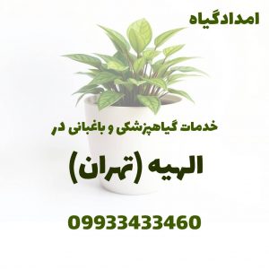 خدمات گیاهپزشکی و باغبانی در الهیه تهران