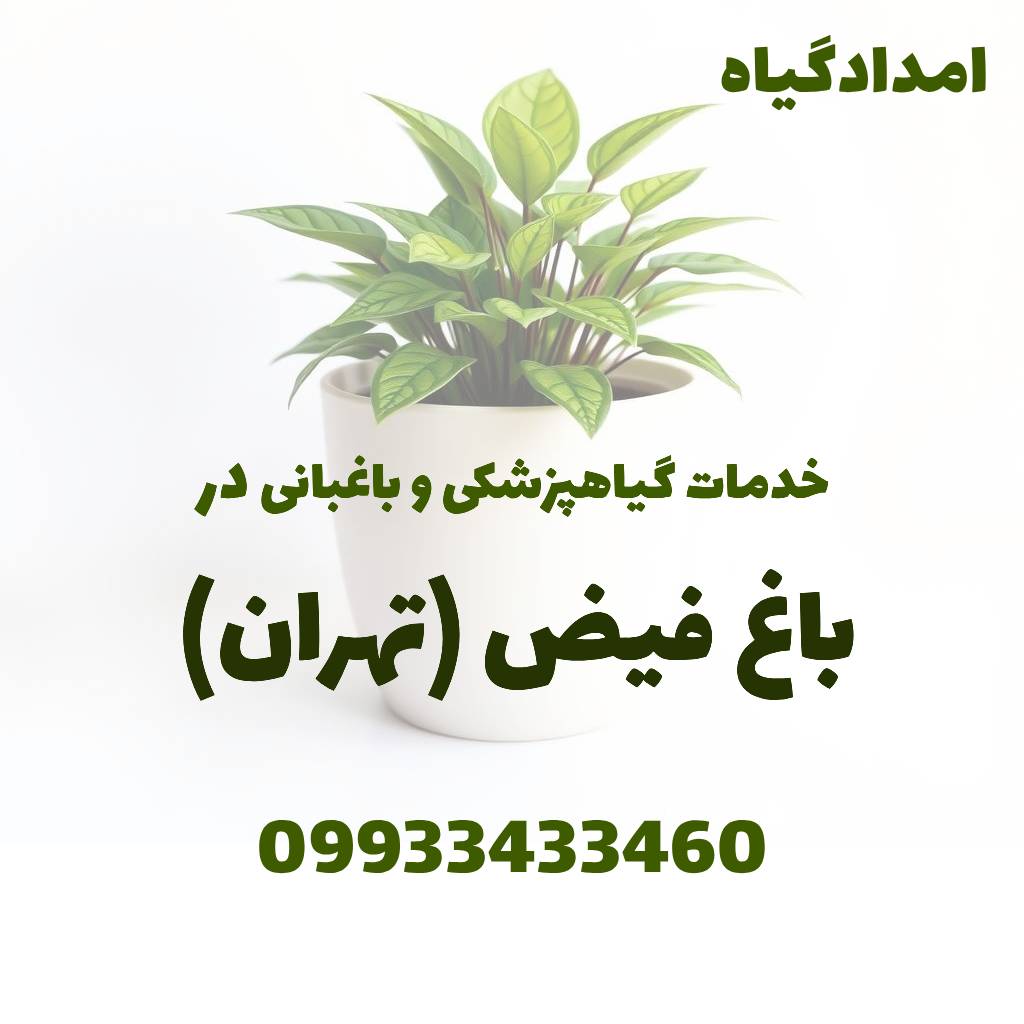 خدمات گیاهپزشکی و باغبانی در باغ فیض تهران