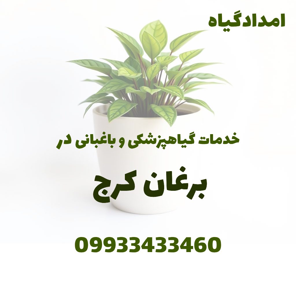 خدمات گیاهپزشکی و باغبانی در برغان