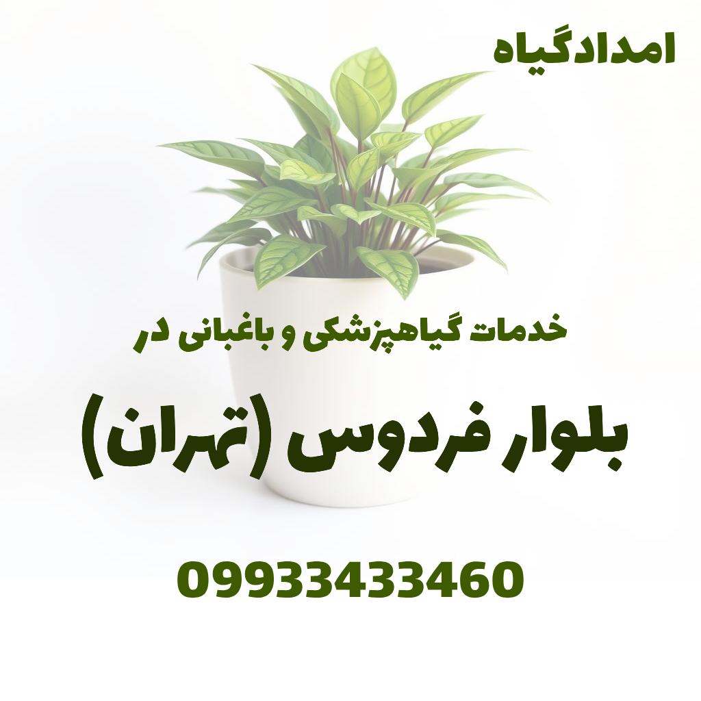 خدمات گیاهپزشکی و باغبانی در بلوار فردوس تهران
