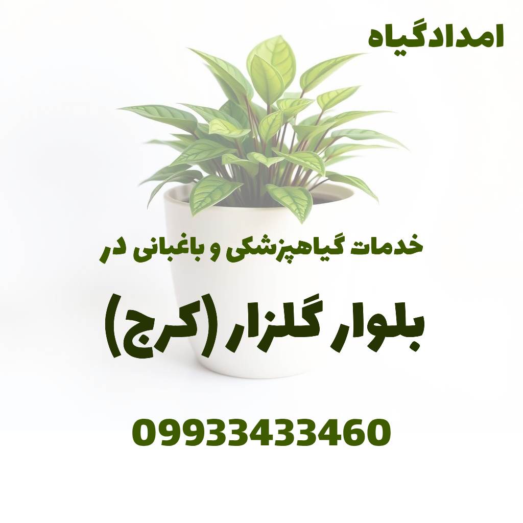 خدمات گیاهپزشکی و باغبانی در بلوار گلزار کرج