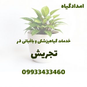 خدمات گیاهپزشکی و باغبانی در تجریش