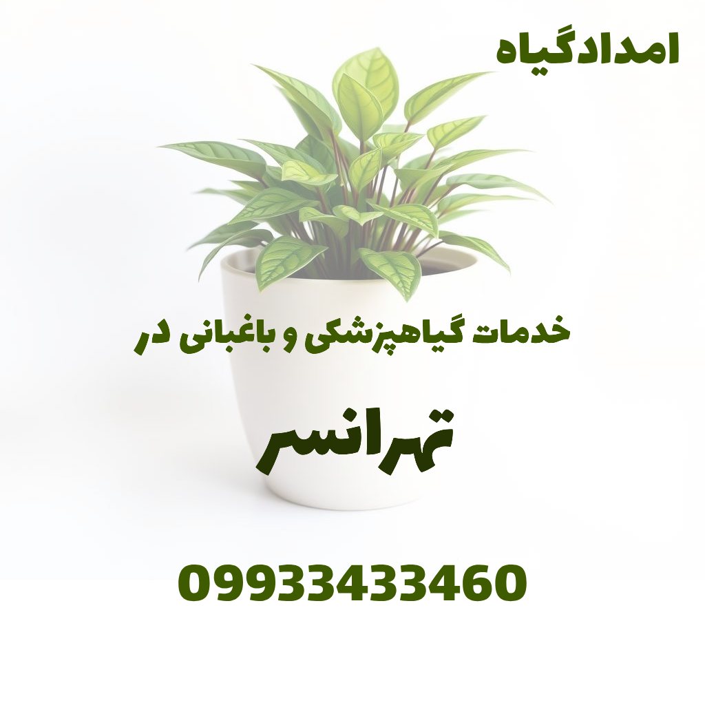 خدمات گیاهپزشکی و باغبانی در تهرانسر