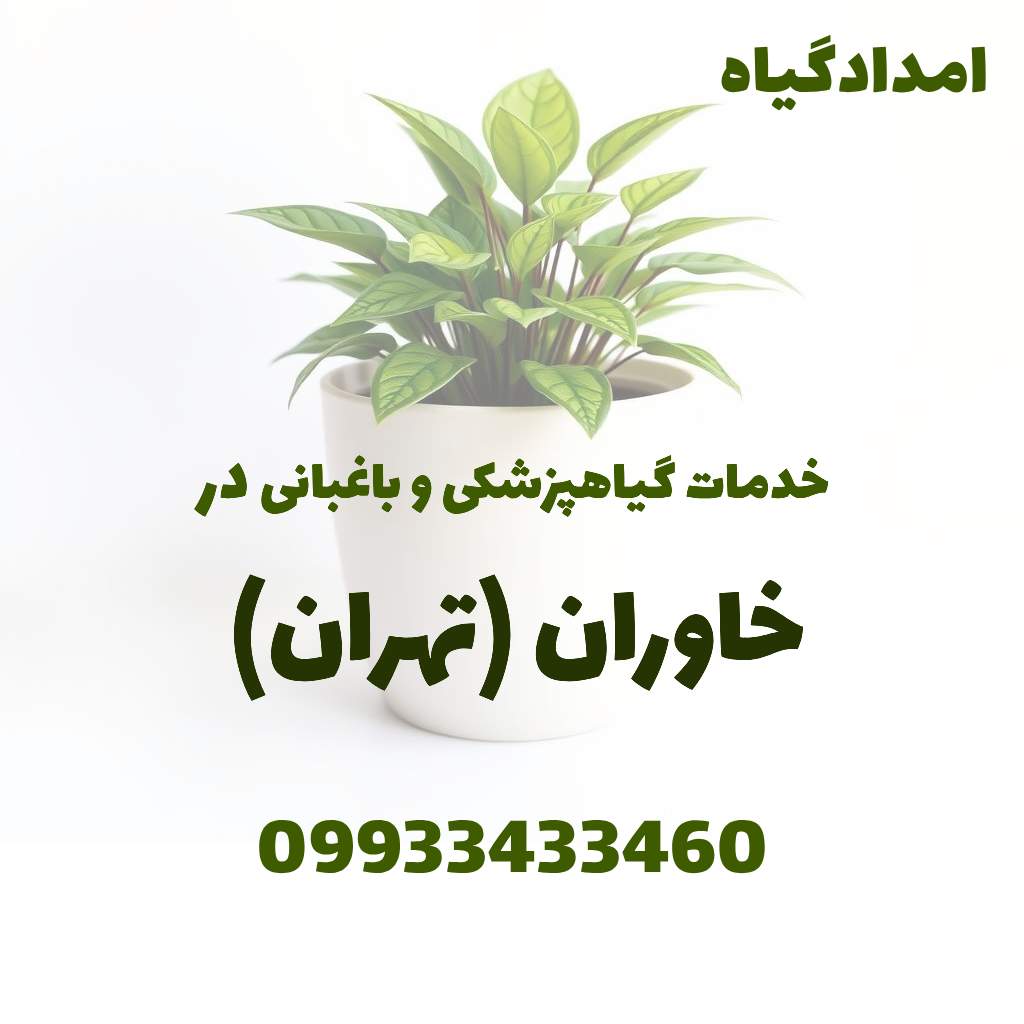 خدمات گیاهپزشکی و باغبانی در خاوران تهران
