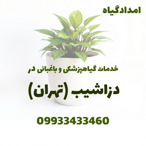 خدمات گیاهپزشکی و باغبانی در دزاشیب تهران