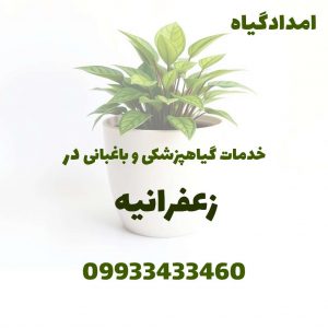خدمات گیاهپزشکی و باغبانی در زعفرانیه
