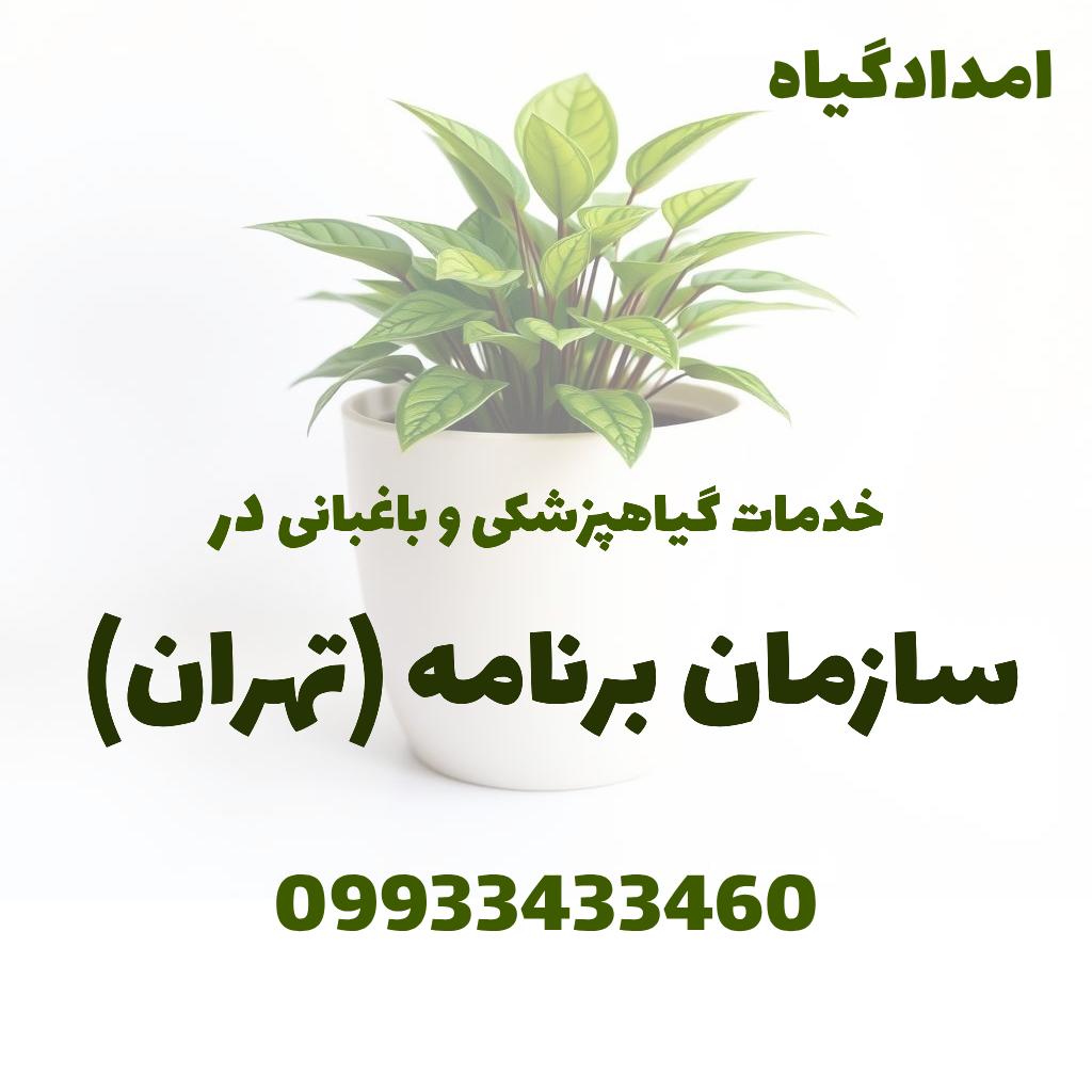 خدمات گیاهپزشکی و باغبانی در سازمان برنامه تهران