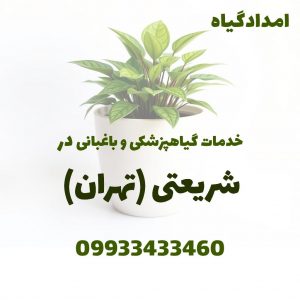 خدمات گیاهپزشکی و باغبانی در شریعتی تهران