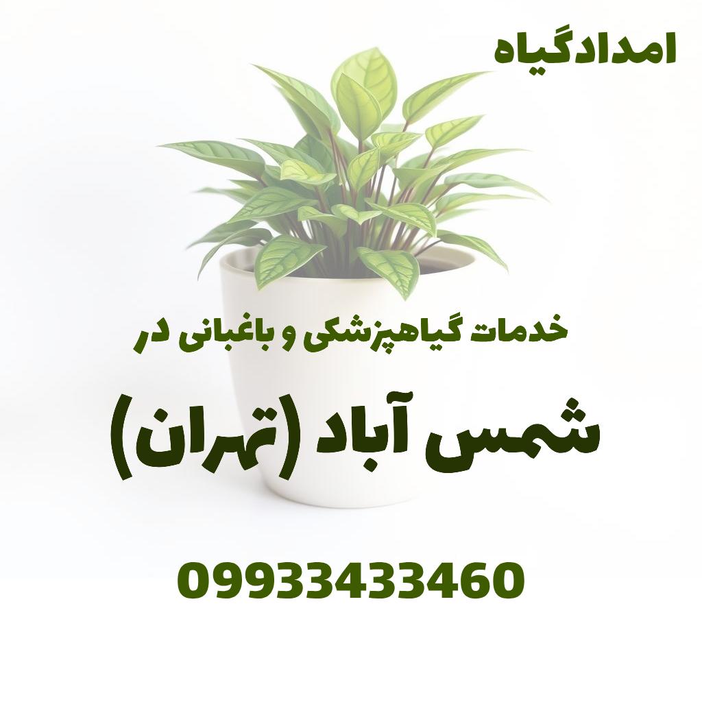 خدمات گیاهپزشکی و باغبانی در شمس آباد تهران