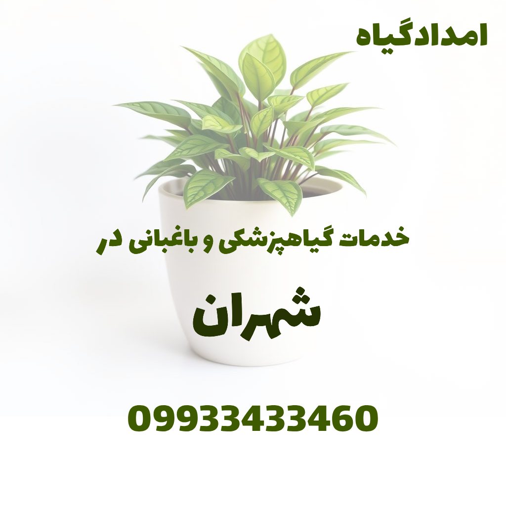 خدمات گیاهپزشکی و باغبانی در شهران