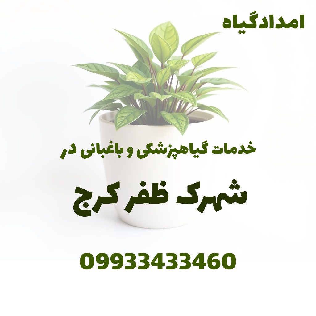 خدمات گیاهپزشکی و باغبانی در شهرک ظفر کرج