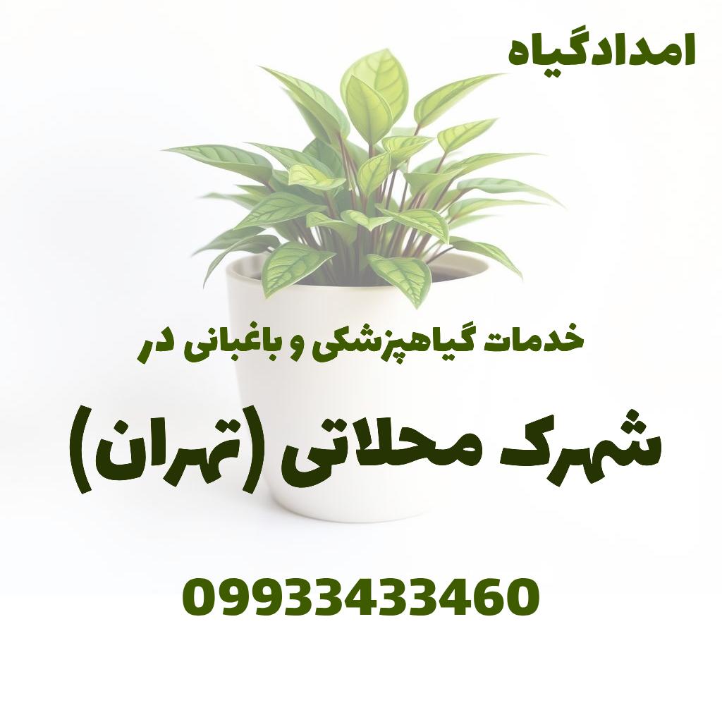 خدمات گیاهپزشکی و باغبانی در شهرک محلاتی تهران