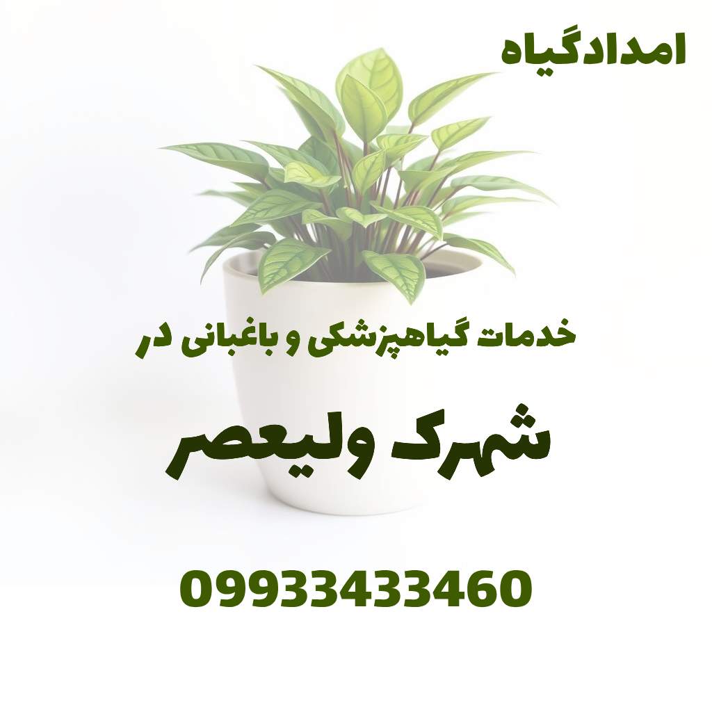 خدمات گیاهپزشکی و باغبانی در شهرک ولیعصر