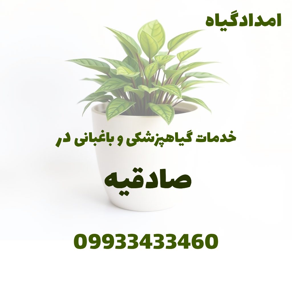 خدمات گیاهپزشکی و باغبانی در صادقیه