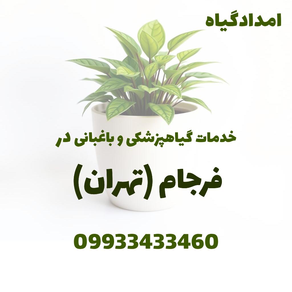 خدمات گیاهپزشکی و باغبانی در فرجام تهران