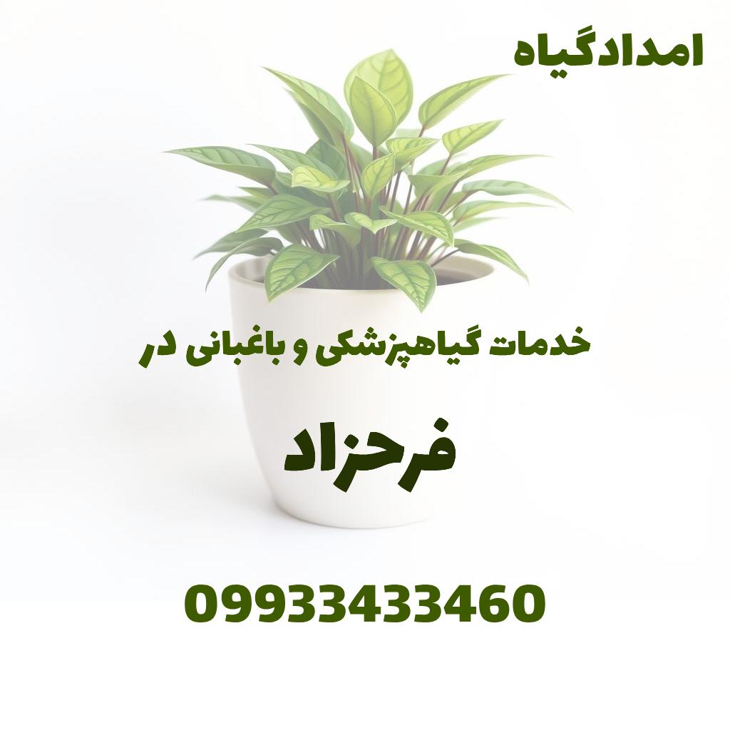 خدمات گیاهپزشکی و باغبانی در فرحزاد