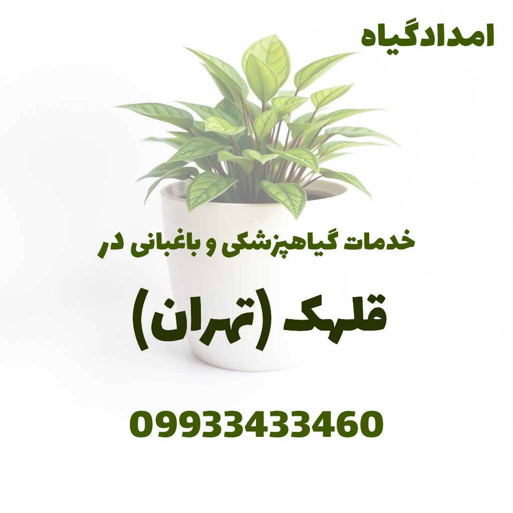 خدمات گیاهپزشکی و باغبانی در قلهک تهران