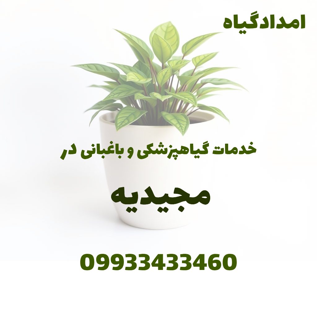 خدمات گیاهپزشکی و باغبانی در مجیدیه