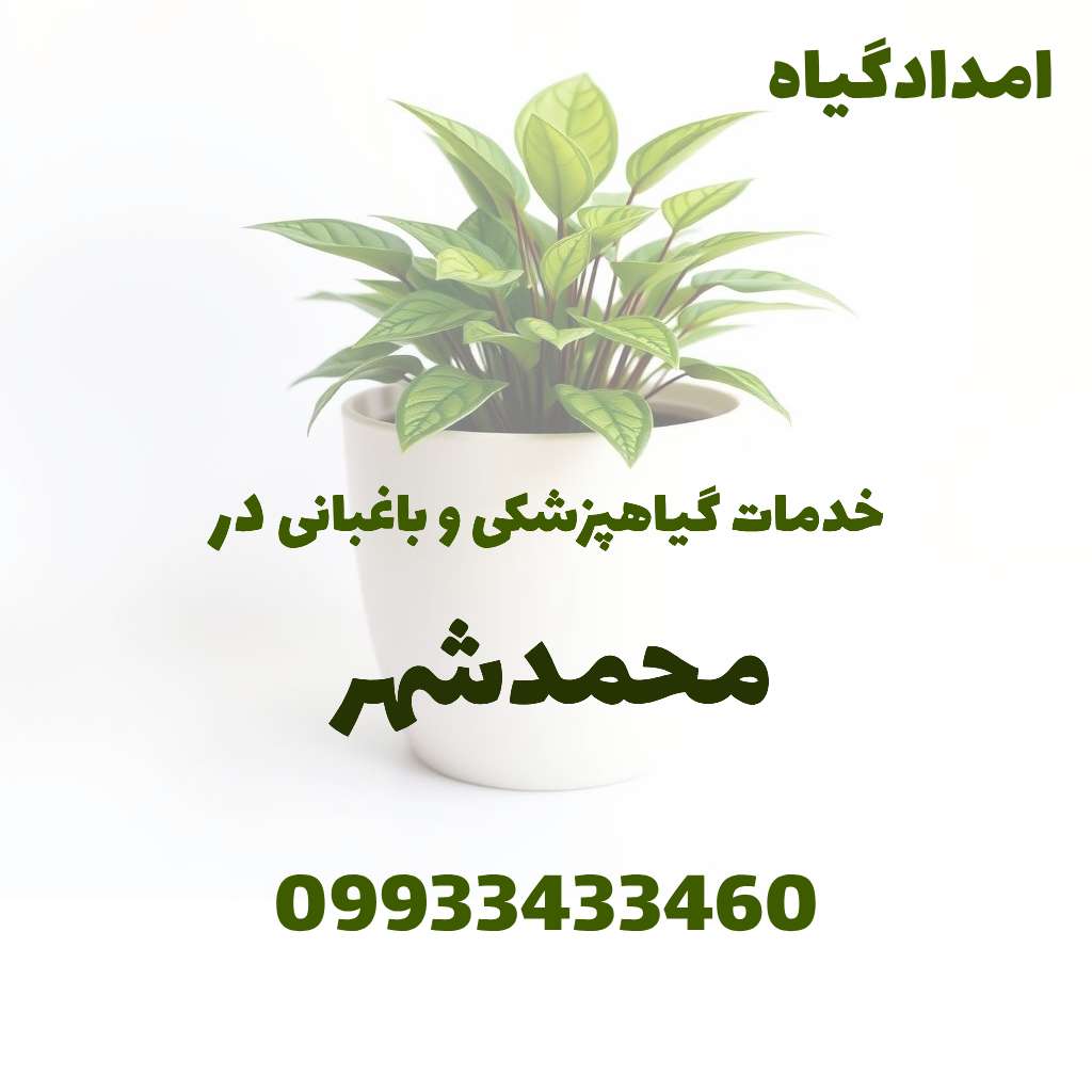 خدمات گیاهپزشکی و باغبانی در محمدشهر