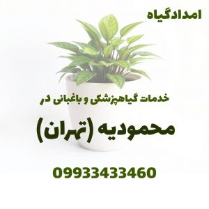 خدمات گیاهپزشکی و باغبانی در محمودیه تهران