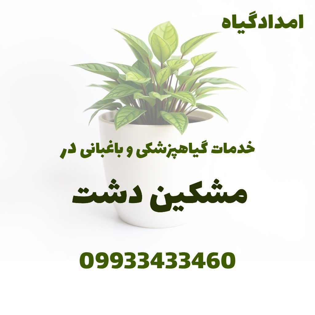 خدمات گیاهپزشکی و باغبانی در مشکین دشت