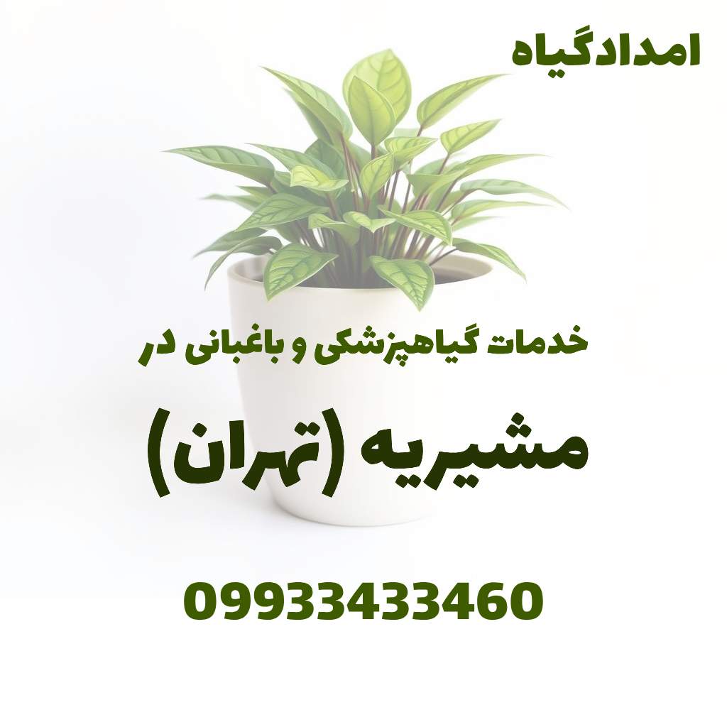 خدمات گیاهپزشکی و باغبانی در مشیریه تهران