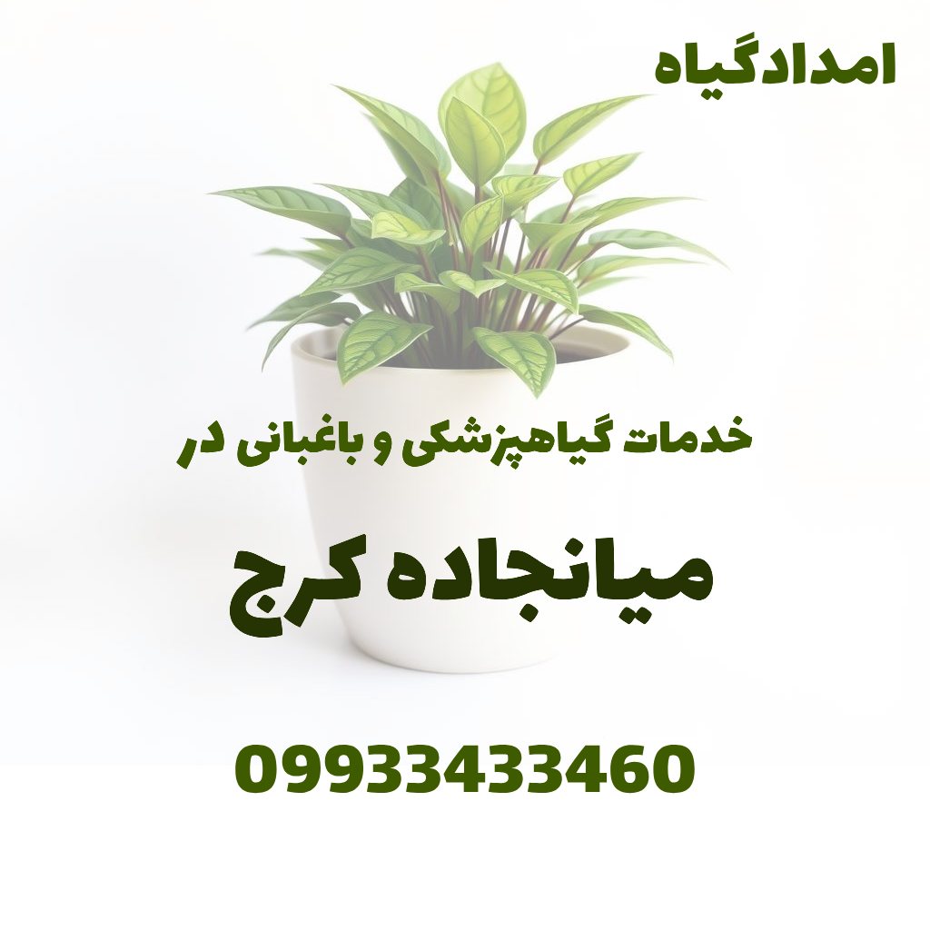 خدمات گیاهپزشکی و باغبانی در میانجاده کرج