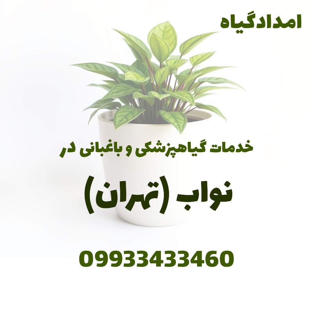 خدمات گیاهپزشکی و باغبانی در نواب تهران