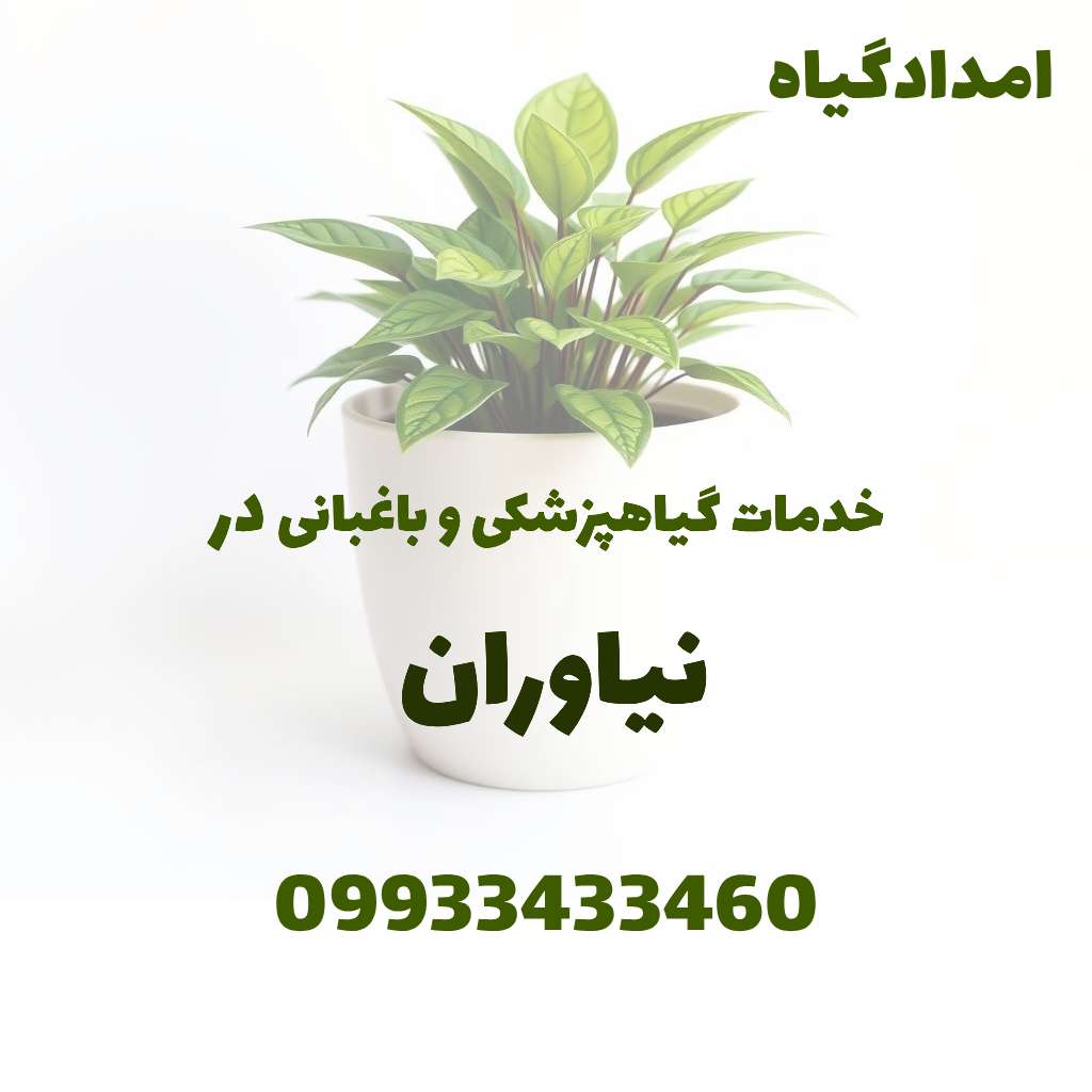 خدمات گیاهپزشکی و باغبانی در نیاوران