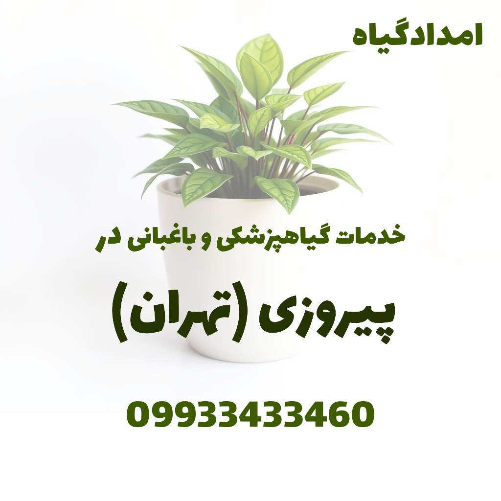 خدمات گیاهپزشکی و باغبانی در پیروزی تهران
