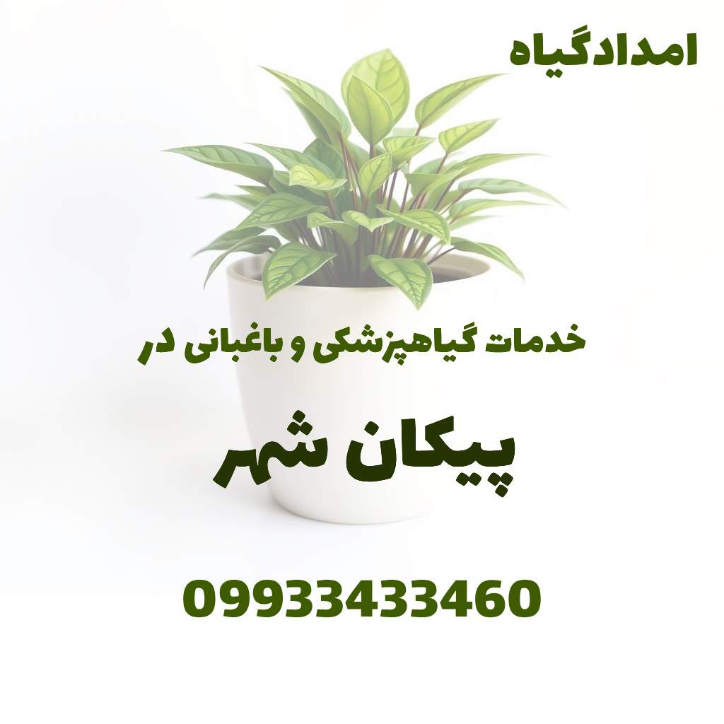 خدمات گیاهپزشکی و باغبانی در پیکان شهر