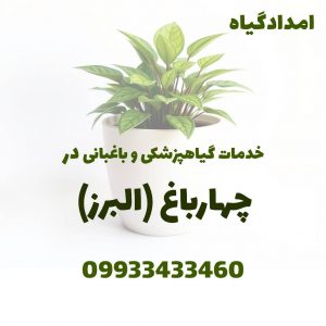 خدمات گیاهپزشکی و باغبانی در چهارباغ کرج