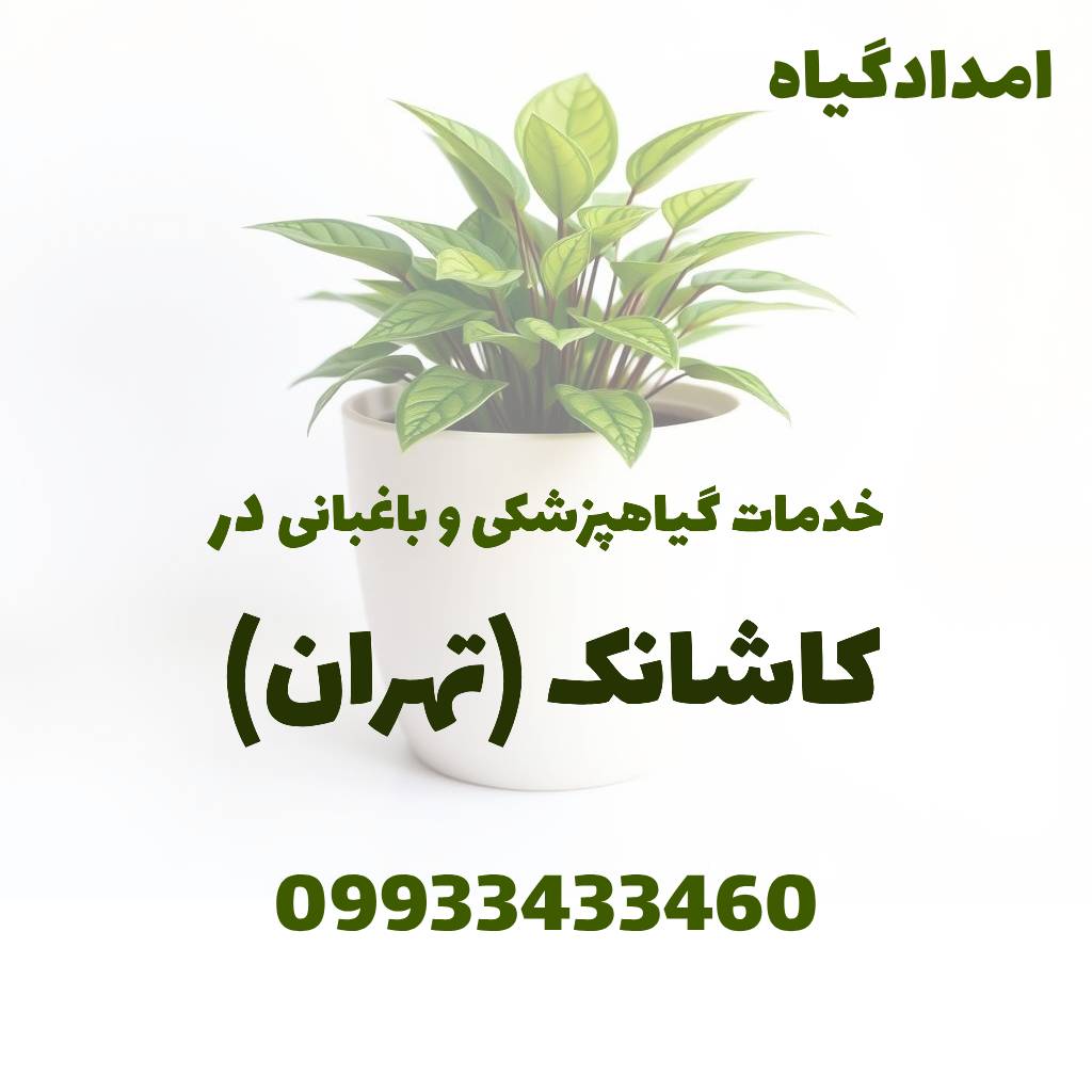خدمات گیاهپزشکی و باغبانی در کاشانک تهران