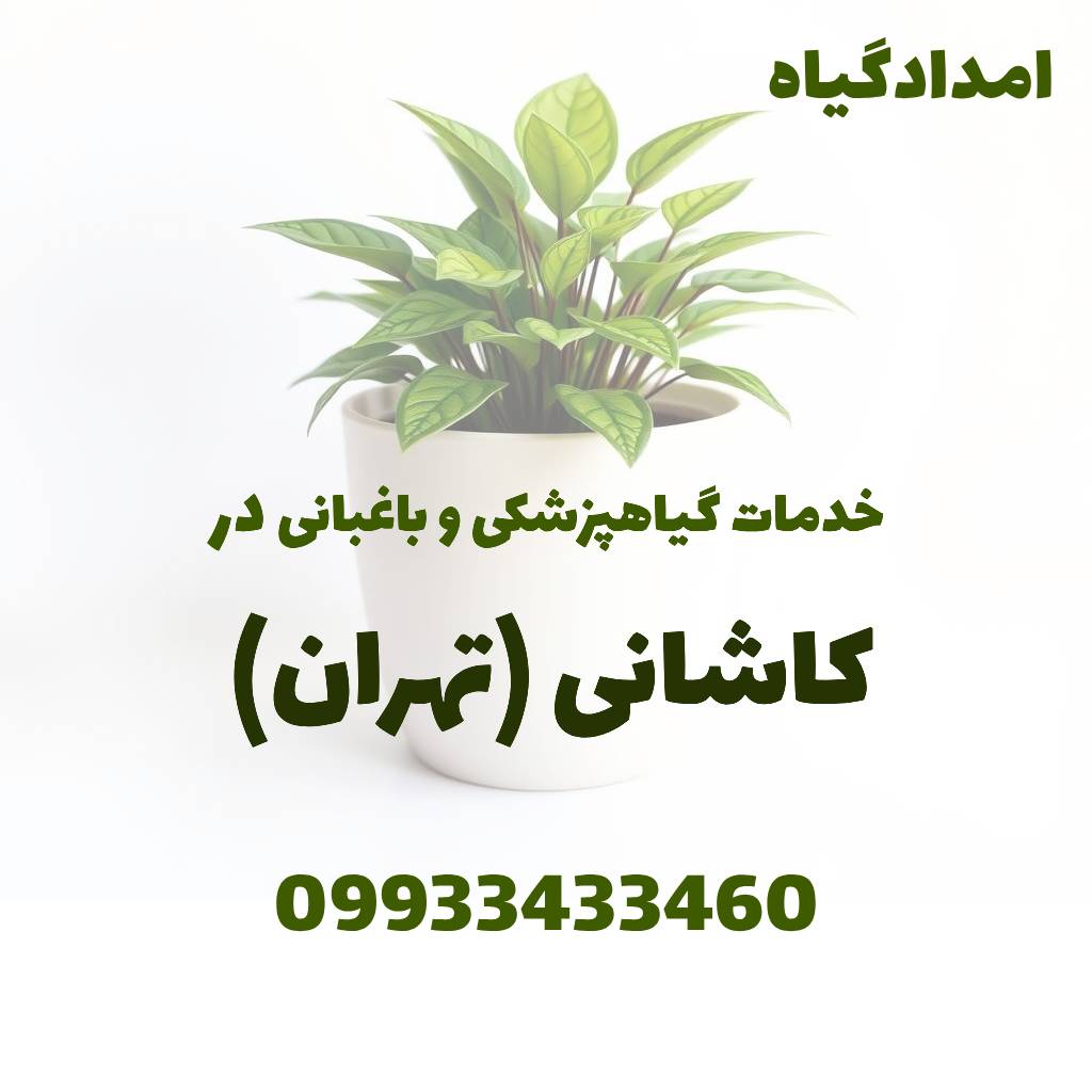 خدمات گیاهپزشکی و باغبانی در کاشانی تهران