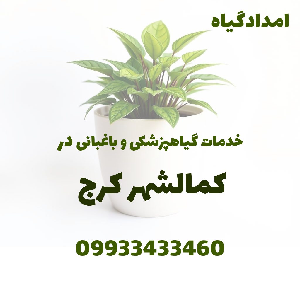 خدمات گیاهپزشکی و باغبانی در کمالشهر کرج