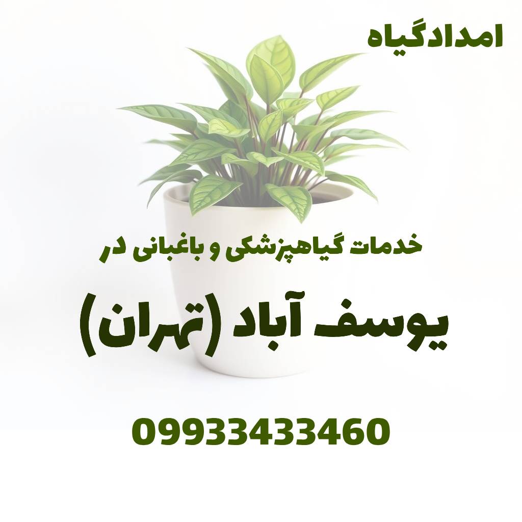 خدمات گیاهپزشکی و باغبانی در یوسف آباد تهران