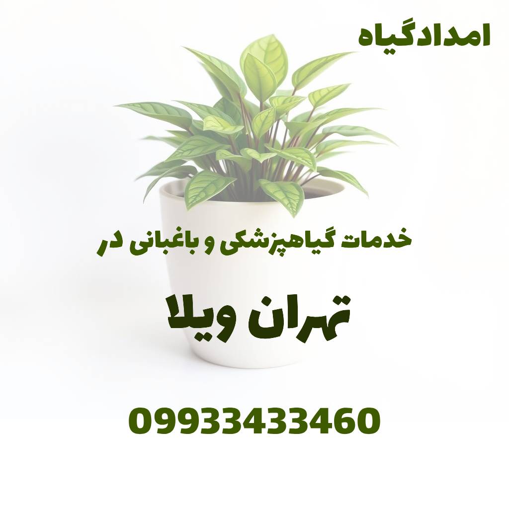 خدمات گیاهپزشکی و باغبانی در تهران ویلا