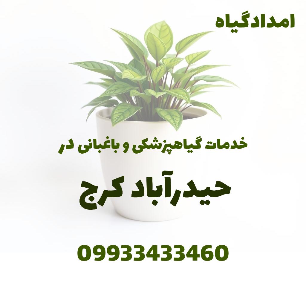 خدمات گیاهپزشکی و باغبانی در حیدرآباد