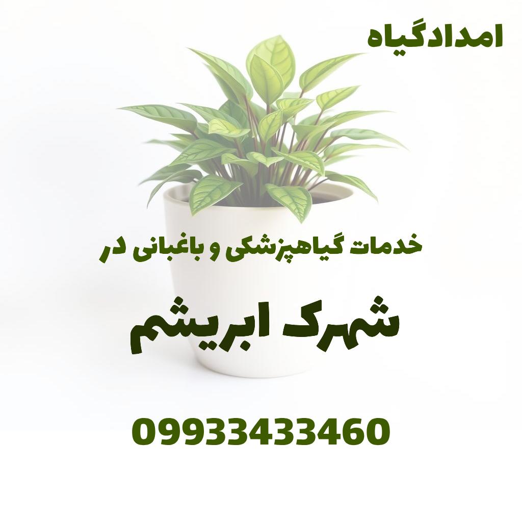 خدمات گیاهپزشکی و باغبانی در شهرک ابریشم
