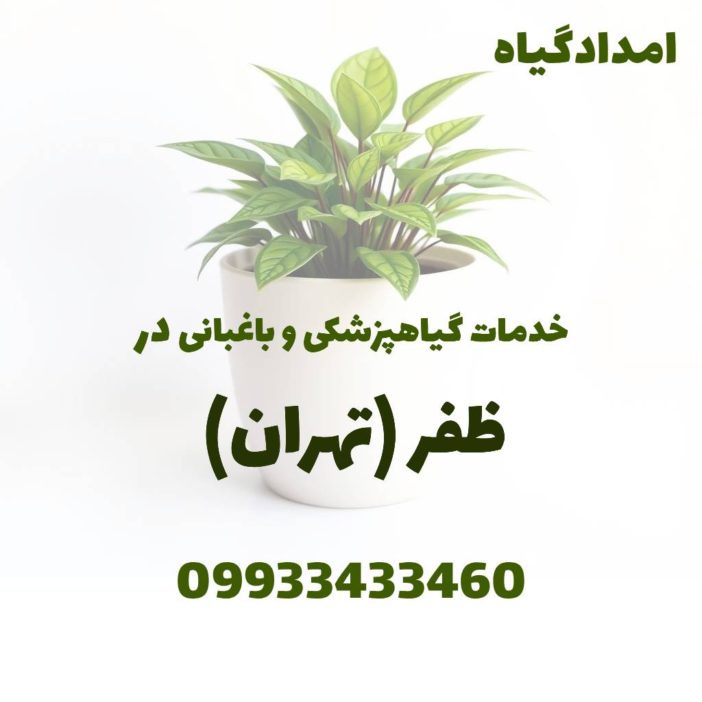 خدمات گیاهپزشکی و باغبانی در ظفر تهران