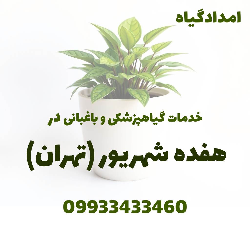 خدمات گیاهپزشکی و باغبانی در هفده شهریور