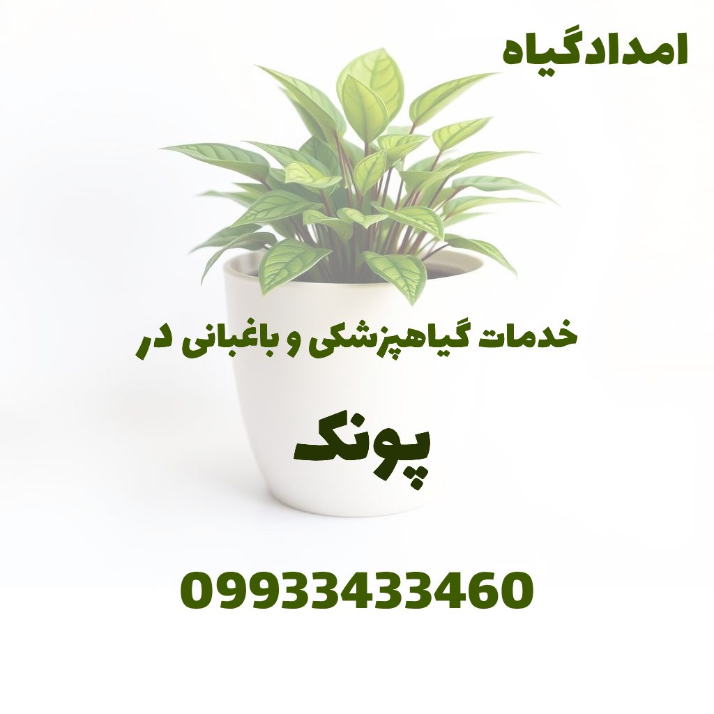 خدمات گیاهپزشکی و باغبانی در پونک