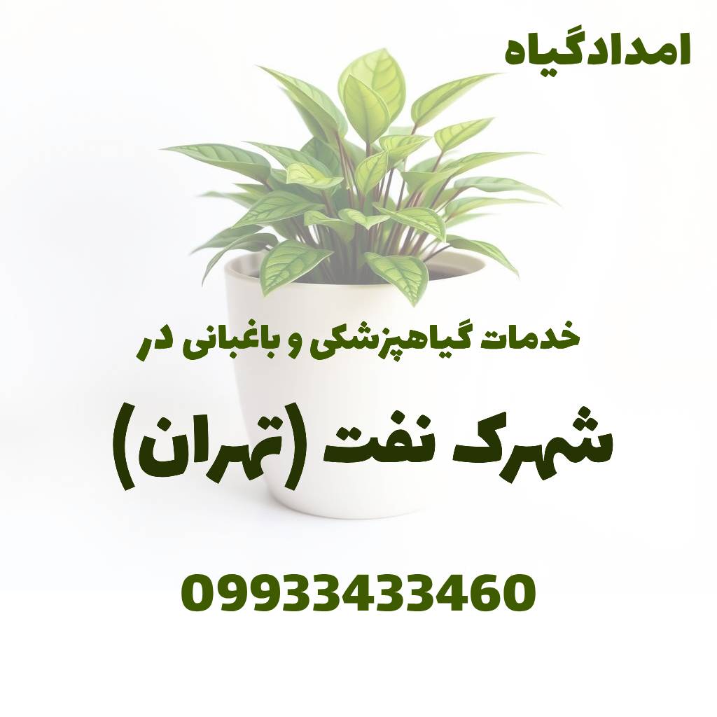 خدمات گیاهپزشکی و باغبانی در شهرک نفت تهران