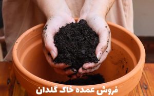 فروش عمده خاک گلدان