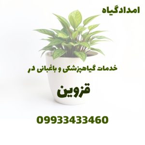 خدمات باغبانی و سم پاشی و کوددهی و هرس در قزوین