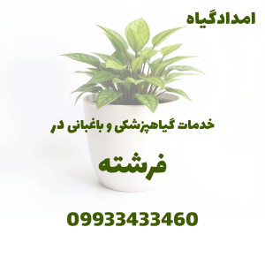 ویزیت و درمان گل و گیاه و باغبانی در منزل (فرشته تهران)