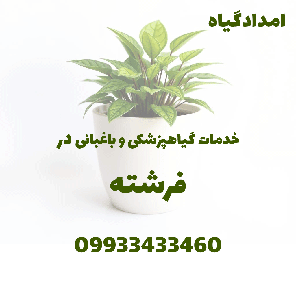 ویزیت و درمان گل و گیاه و باغبانی در منزل (فرشته تهران)